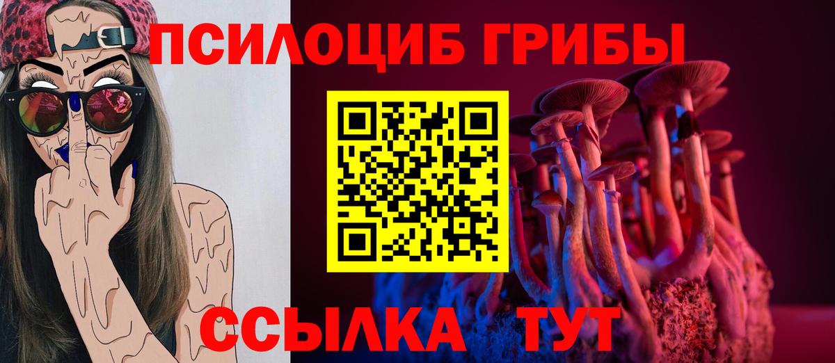 Галлюциногенные грибы MAGIC MUSHROOMS Котлас